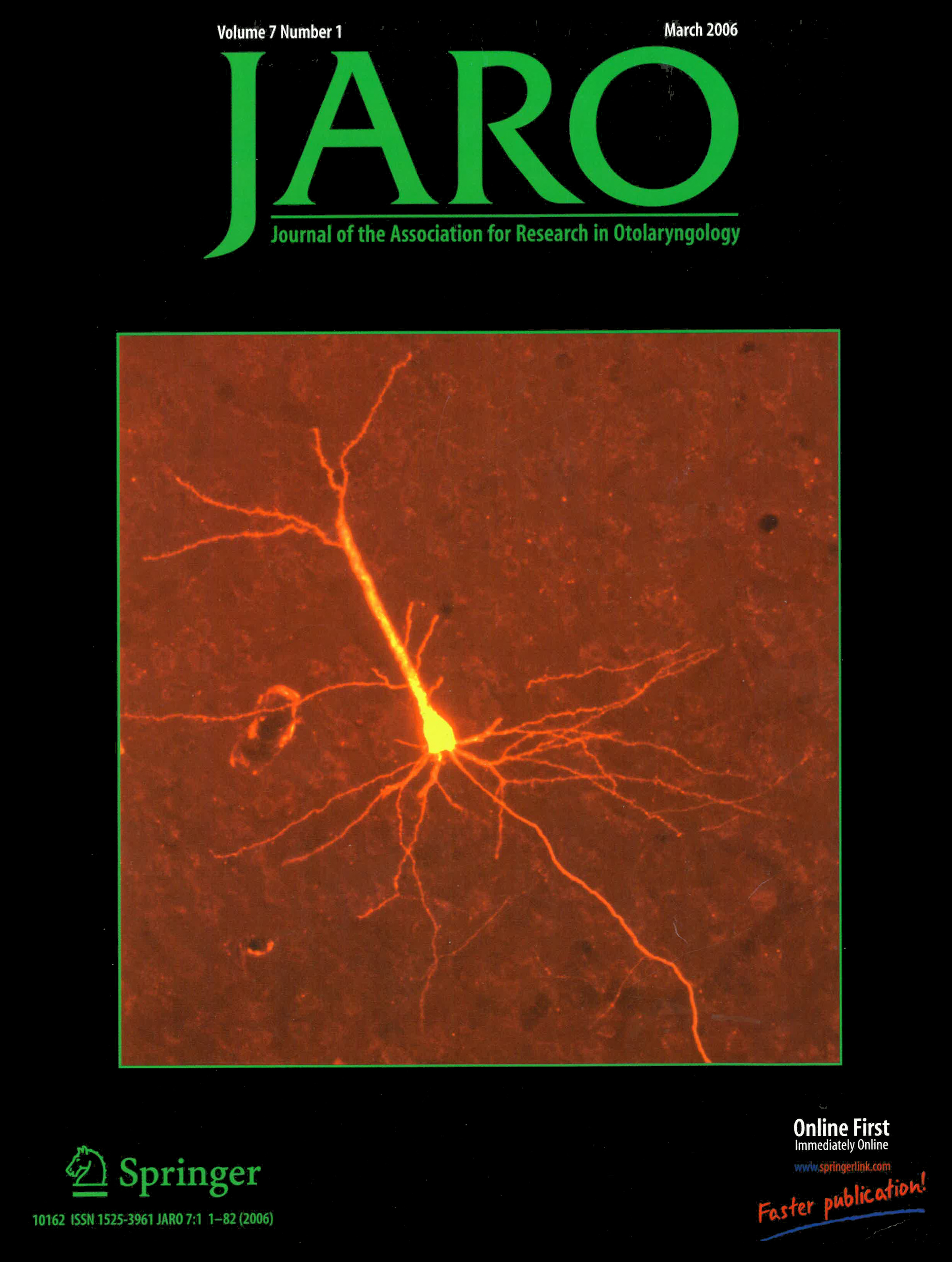 Cover of Journal of the Association for Reserach in Otolaryngology, 7:1, March 2006, black background with closeup microscope image of a red-labeled neuron and its dendrites