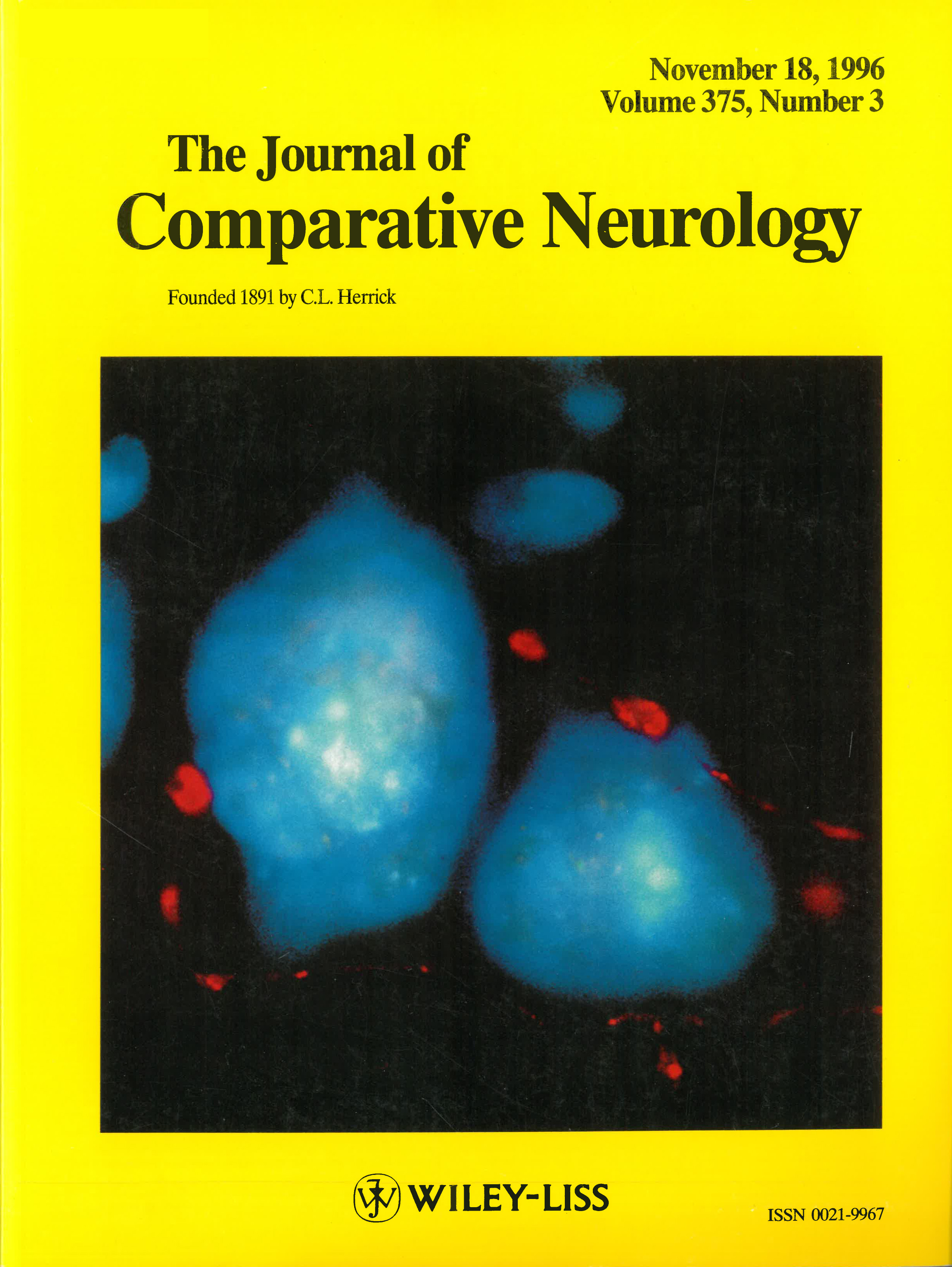 Cover of The Journal of Comparative Neurology, Volume 375, Number 3, yellow background with a large microscope image of large blue cells surrounded by smaller red label